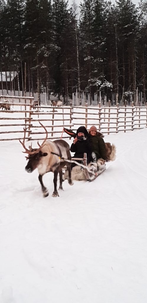 Sleigh Ride in Lapland